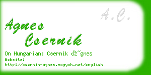 agnes csernik business card